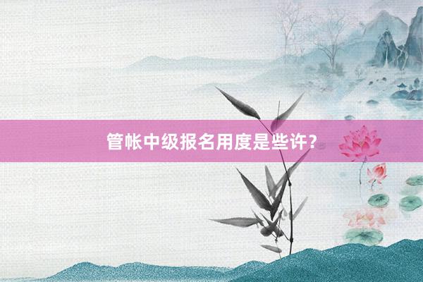 管帐中级报名用度是些许？